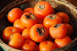 Japaness Persimmon Extract